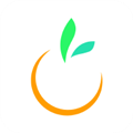 橙宝网 V2.9.6 安卓版