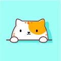 猫咪壁纸app v1.1 安卓版