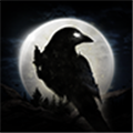 night crows官方最新版 V1.9.18 安卓版