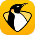 企鹅体育直播伴侣主播工具 V1.1.0 电脑版