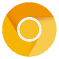 Chrome浏览器(金丝雀版)最新电脑版 v88.0.4285.3