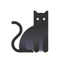 一日猫app V2.4.7 安卓最新版