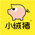 小绒猪 V2.1.2 安卓最新版