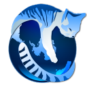 IceCat浏览器 V78.2.0 官方版