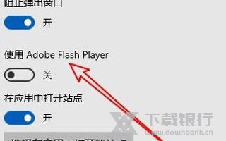 edge浏览器设置flash教程图片4