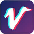 视频豆豆app v3.6.7 安卓版