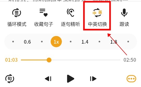 朗易思听app怎么关闭中文播放3