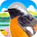 雀鸟乐园 v2.8.0 安卓版