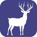 迷鹿旅行 v1.1.1 安卓版