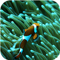 钓鱼宝典app v6.4.3 最新版