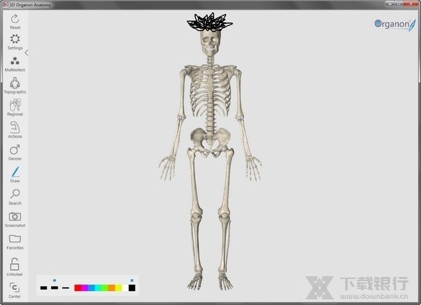 3D Organon Anatomy截图1