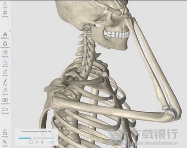 3D Organon Anatomy截图2