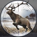 猎鹿2(Deer Hunting 2) v1.1.4 安卓版