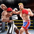 拳击明星冠军3D(Tag Team Boxing) v8.6 安卓版
