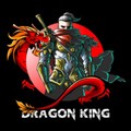 龙之君王(Dragon King) v1.1 安卓版