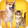 人狗猫交流器app v2.5 官方最新版