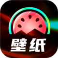 启晖西瓜壁纸app v1.2.1 安卓版