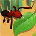 蚂蚁生存3D游戏 v1.0.4 安卓版