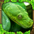 终极蟒蛇模拟器无限经验版 v1.5 安卓版