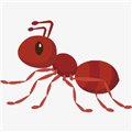 旅游蚁虫 v1.4 安卓版