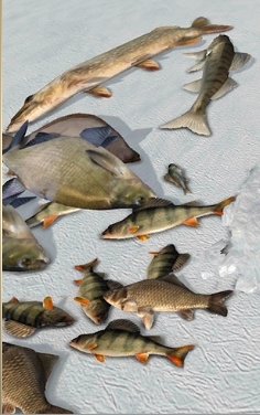 冰钓大师鱼类介绍图片1