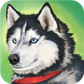 美国Zoom动物 v1.0.3.4 最新安卓版