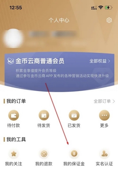 金币云商app怎么查询保证金2