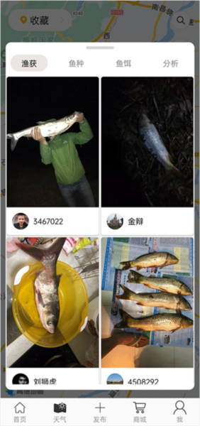 渔获使用教程图片4