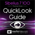 Sibelius西贝柳斯打谱app v1.0 最新版