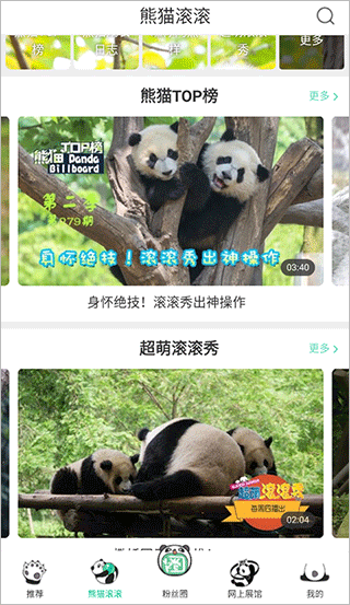 熊猫频道app怎么看直播