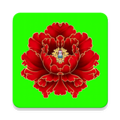 绿植花卉 V10.0.2 安卓版