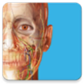 atlas人体解剖软件 v2024.00.005 安卓版