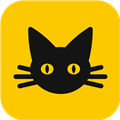 夜猫小说官方正版app V1.0.1 最新版
